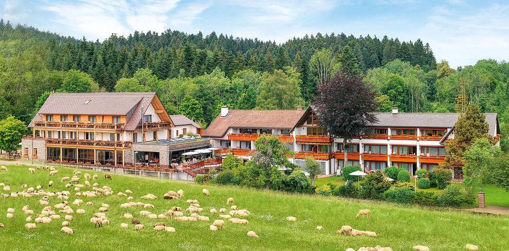 Hotel Gruener Wald ฟรอยเดนชตัดท์ ภายนอก รูปภาพ