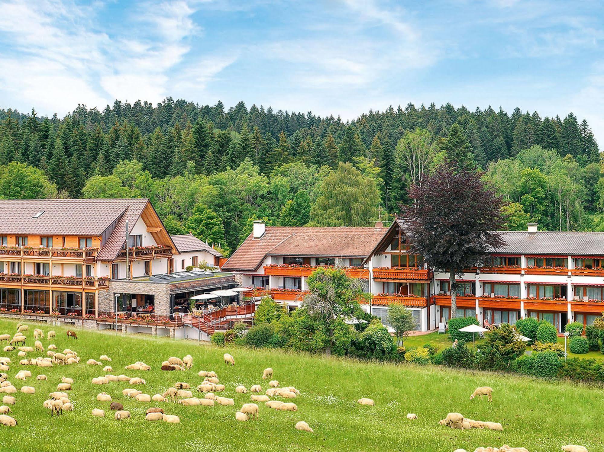 Hotel Gruener Wald ฟรอยเดนชตัดท์ ภายนอก รูปภาพ